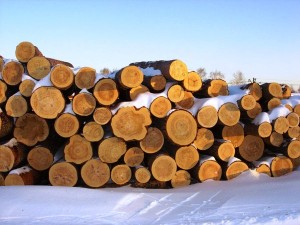 Как же выбрать качественную древесину для своего будущего дома?!